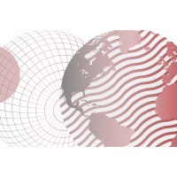 Hertie Network on Digitalisation logo - Similar company to Thinkfi.Net