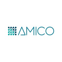 Amico Group