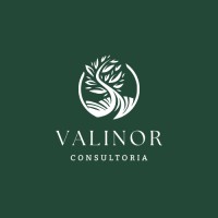 Valinor Consultoria em Saúde logo - Similar company to Lab Saúde - Futuros Desejáveis