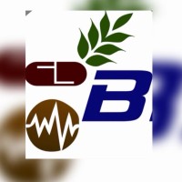 BrightMedex logo - Similar company to Bright Labs