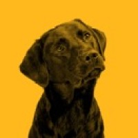 frank. Pet Surgeons logo - Similar company to In Practice