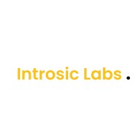 Introsic-Labs logo - Similar company to Diallockai