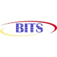 Business Information Technology Services
