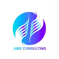 AMS Consulting logo - Similar company to Sai Pay