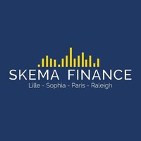 SKEMA Finance Lille logo - Similar company to Skema Conseil