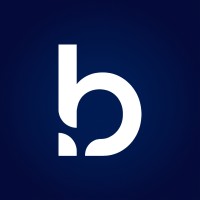 Bigbridge logo - Similar company to Web-Vision