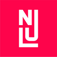 Nilan Johnson Lewis PA logo - Similar company to Larson • King