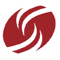 Dress for Success Tampa Bay logo - Similar company to Buddy Baseball