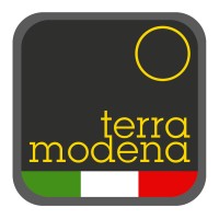 Terra Modena Mechatronic logo - Similar company to Paton Group
