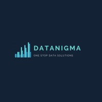 Datanigma logo - Similar company to Mokshaallc
