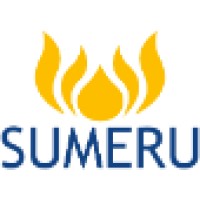 Sumeru Nigeria Limited logo - Similar company to Systems Technologies Limited