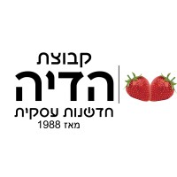 Heidia LTD logo - Similar company to Precise Synergy