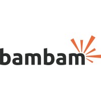 Bambam.ai logo - Similar company to Bambam Rocks