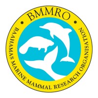 Bahamas Marine Mammal Research Organisation | BMMRO logo - Similar company to Avasant Foundation