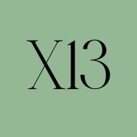 X13 Group logo - Similar company to All Heating One