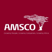 AMSCO logo - Similar company to Nd Tech Sarl