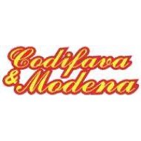 Codifava e Modena Srl logo - Similar company to Spazio Leo - Ic3 Modena