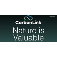 Carbon Link Group logo - Similar company to Gotykage Creative Agency