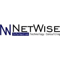NetWise IT Consulting logo - Similar company to Teledata Select