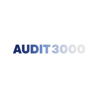 Audit 3000 logo - Similar company to Crg Convertors