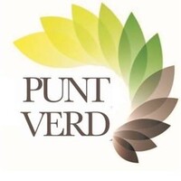 Punt Verd Girona logo - Similar company to Software Girona
