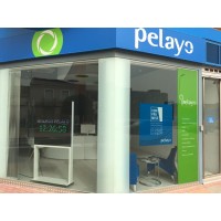 SEGUROS PELAYO AGENCIA EXCLUSIVA logo - Similar company to Agropelayo
