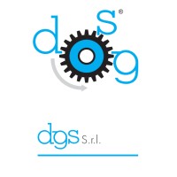 DGS S.r.l. logo - Similar company to Stanadyne S.P.A.