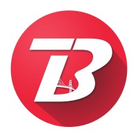 The Bridge logo - Similar company to Walnut Knowledge Solutions Pvt. Ltd.