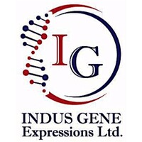 Indus Gene Expressions Ltd logo - Similar company to First Consulting Group Llc