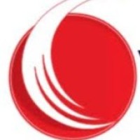 Vision overseas hr solution and travel management logo - Similar company to Afshan
