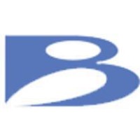 银宝山新 logo - Similar company to Shenzhen Silver Basis Technology Co.,Ltd