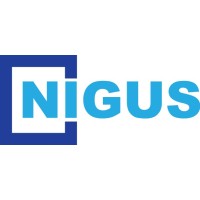 Nigus Systems logo - Similar company to Jaas