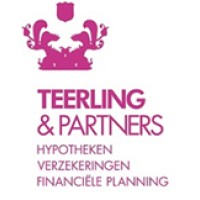 Teerling & Partners logo - Similar company to Daleman & De Jong