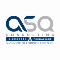 ASQ Consulting logo - Similar company to Macross Consultancy