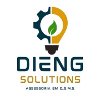 DIENG SOLUTIONS logo - Similar company to Catavento Consultoria Socioambiental