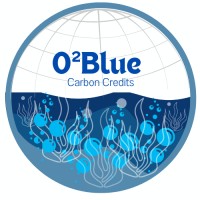 O2BlueCarbon logo - Similar company to Agritoken
