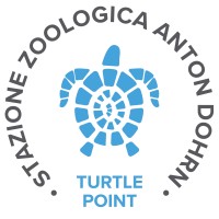 Gruppo Ricerche Tartarughe Marine logo - Similar company to Eversea