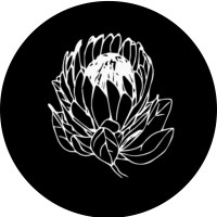 Adeline Artistry logo - Similar company to Amnesia Studios