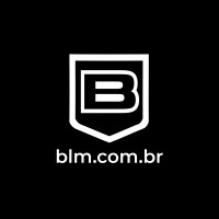 BLM logo - Similar company to Bigdbm