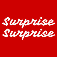 Surprise Surprise Studio logo - Similar company to Proscalar