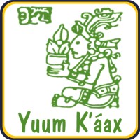 Coordinación General de Sustentabilidad Yuum K'áax de la Universidad Autónoma de Campeche, México. logo - Similar company to Inapesca