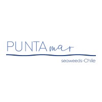PuntaMar logo - Similar company to Boulevard Puntamar