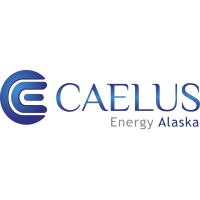 Caelus Energy logo - Similar company to Caelus