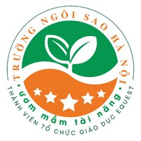 Hanoi Star School logo - Similar company to Rùa Mentor (Turtle Mentor)