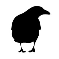 Bald Crow Publishing logo - Similar company to Bard Press