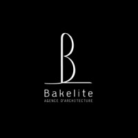 Bakelite logo - Similar company to Bakelite Synthetics