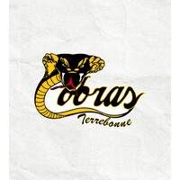 Les Cobras de Terrebonne logo - Similar company to The Champion Mindset Academy
