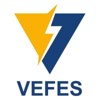 Vefes logo - Similar company to Intelligic Solutions