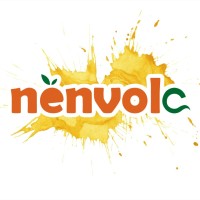 nenvola logo - Similar company to Hectacore Systems