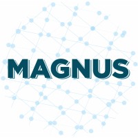 MAGNUS SOLUTIONS logo - Similar company to Zqt